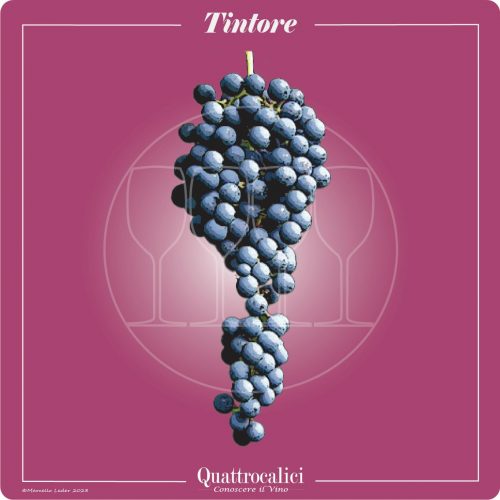 Il vitigno tintore