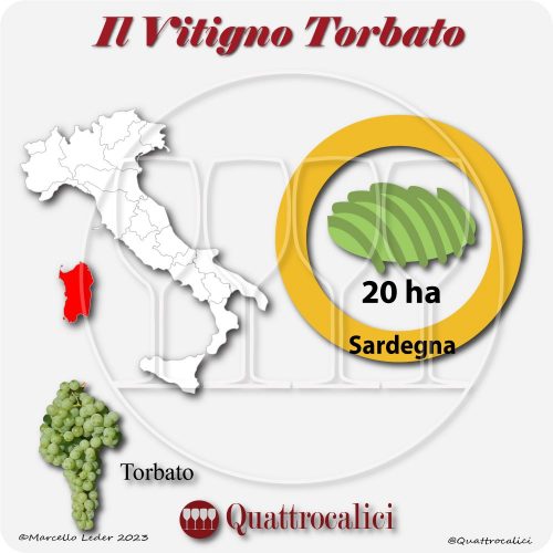 Il Vitigno Torbato e la sua coltivazione in Italia