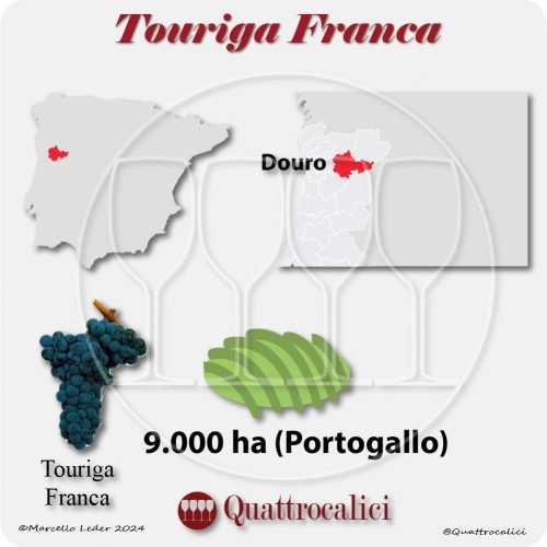 Il vitigno Touriga Franca in Portogallo