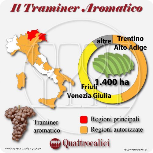 Il Vitigno Traminer aromatico e la sua coltivazione in Italia