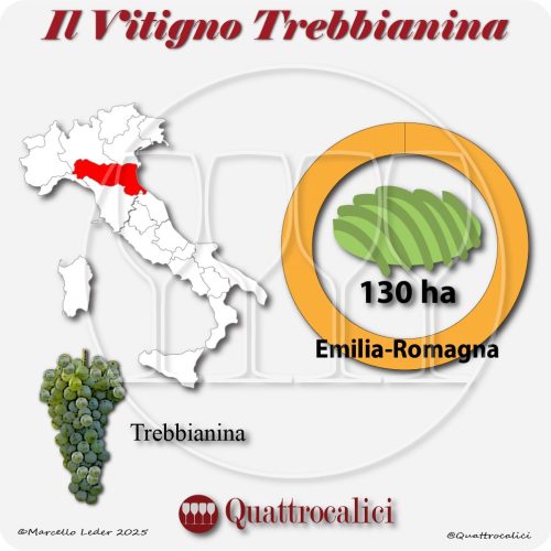 il vitigno trebbianina in Italia