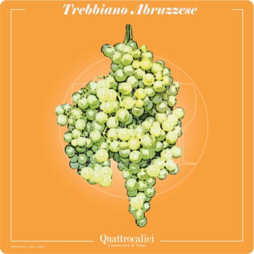 Vitigno  Trebbiano Abruzzese