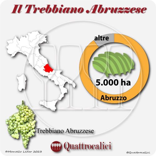 Il Vitigno Trebbiano Abruzzese e la sua coltivazione in Italia