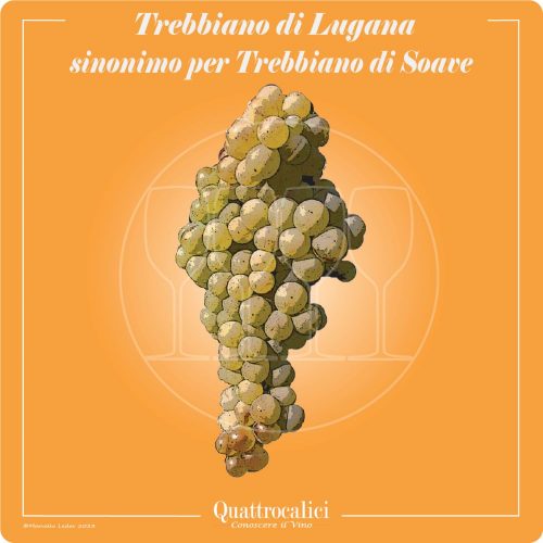 Vitigno  Trebbiano di Lugana