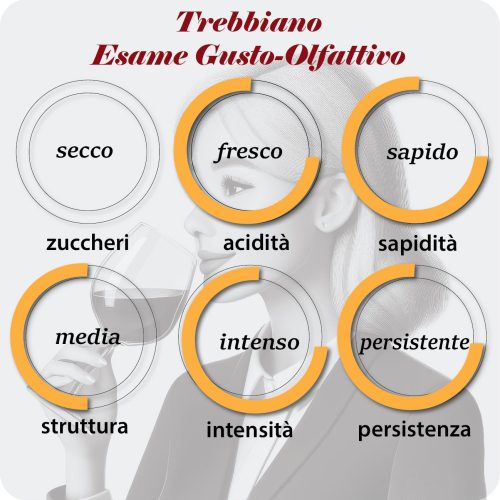 L'esame gusto-olfattivo dei vini trebbiano