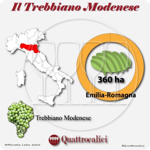 Il vitigno trebbiano modenese in Italia
