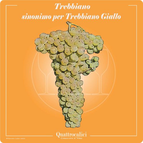 Vitigno  Trebbiano