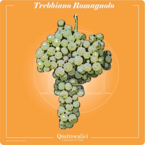 Vitigno  Trebbiano Romagnolo