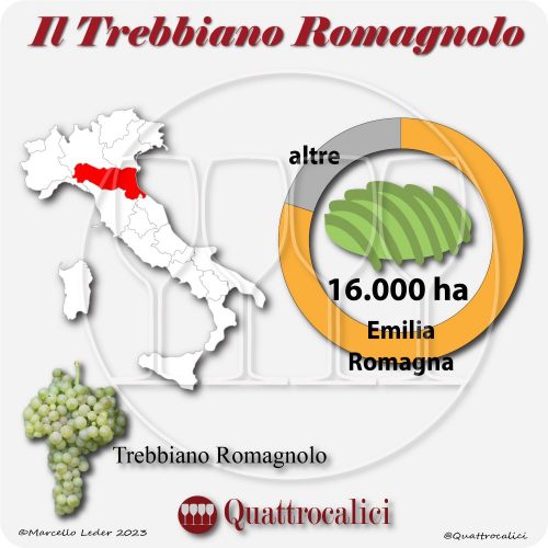 Il Vitigno Trebbiano Romagnolo e la sua coltivazione in Italia