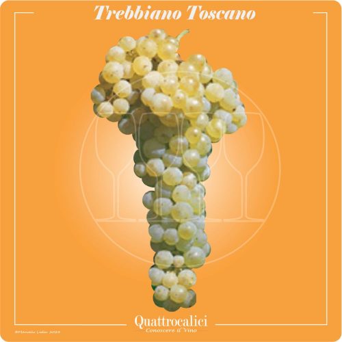 Vitigno  Trebbiano Toscano