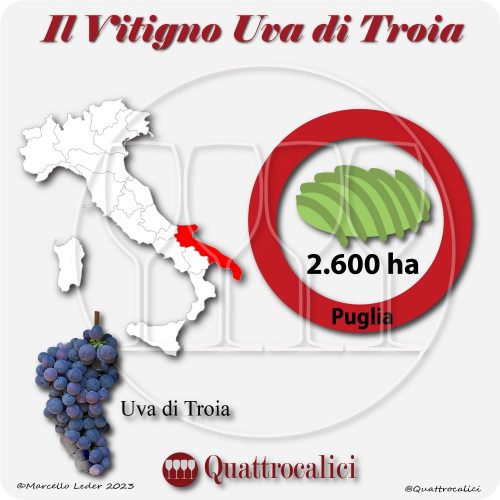Il Vitigno Uva di Troia e la sua coltivazione in Italia
