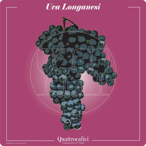 Vitigno  Uva Longanesi