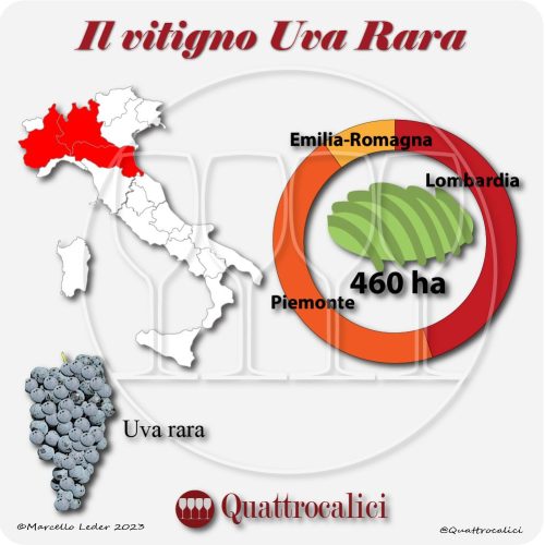 L'uva rara in Italia