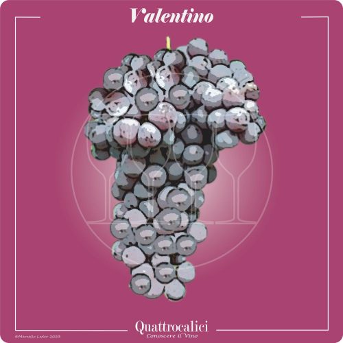 Vitigno  Valentino