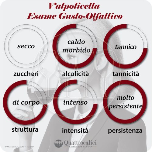 L'esame gustativo dei vini Valpolicella