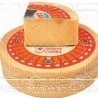 Valtellina Casera DOP