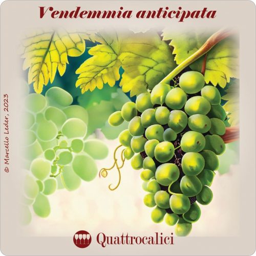 vendemmia anticipata - i quiz del vino di quattrocalici