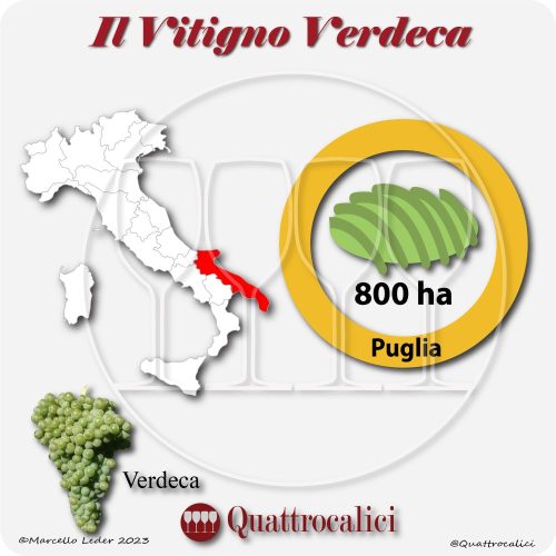 Verdeca - Quattrocalici - L'Atlante dei Vitigni