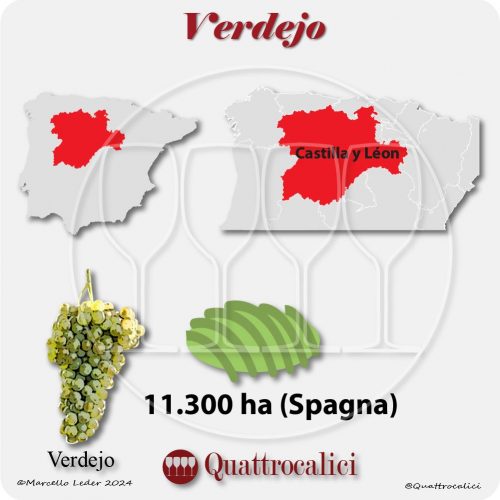 Il vitigno Verdejo in Spagna