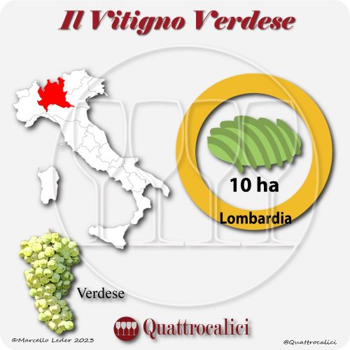 Il Vitigno Verdese e la sua coltivazione in Italia