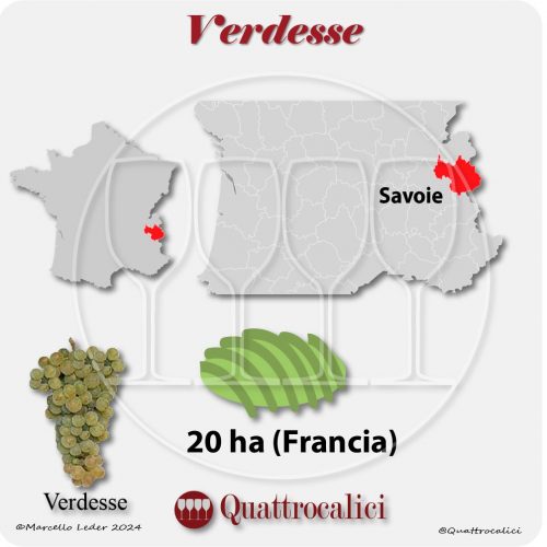 Il vitigno Verdesse in Francia