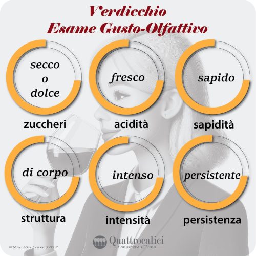 L'esame gusto-olfattivo dei vini Verdicchio