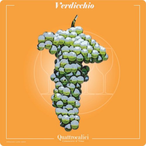 Vitigno  Verdicchio