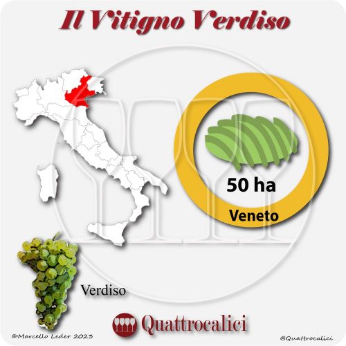 Il Vitigno Verdiso e la sua coltivazione in Italia