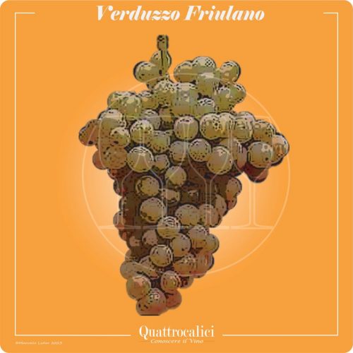 Vitigno  Verduzzo Friulano