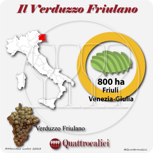Il Vitigno Verduzzo Friulano e la sua coltivazione in Italia