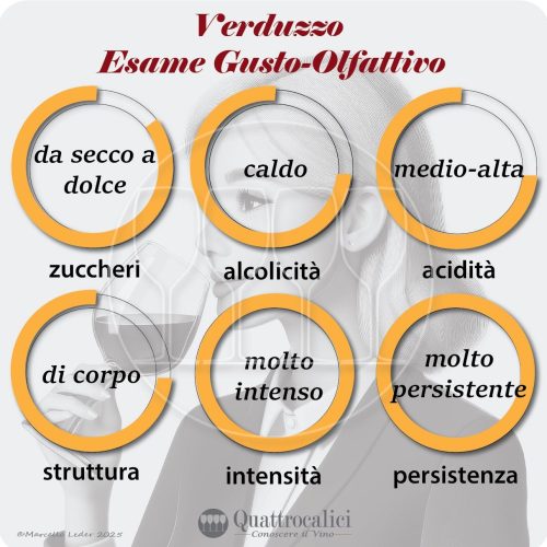L'esame gusto-olfattivo dei vini Verduzzo