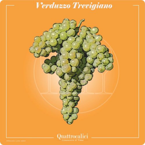 Vitigno  Verduzzo Trevigiano