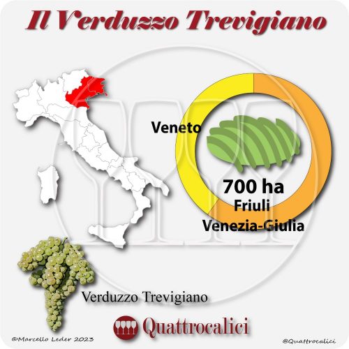 Il Vitigno Verduzzo Trevigiano e la sua coltivazione in Italia