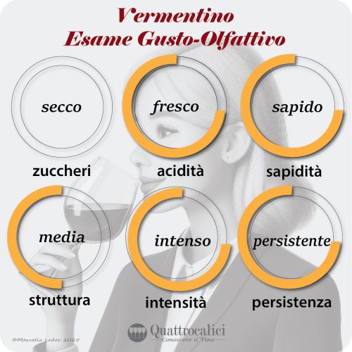 L'esame gusto-olfattivo del Vermentino