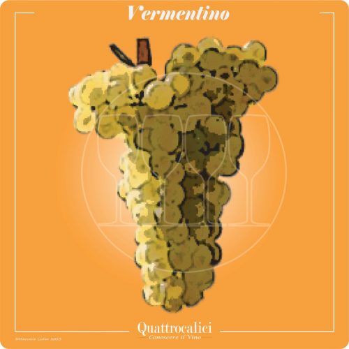 Vitigno  Vermentino