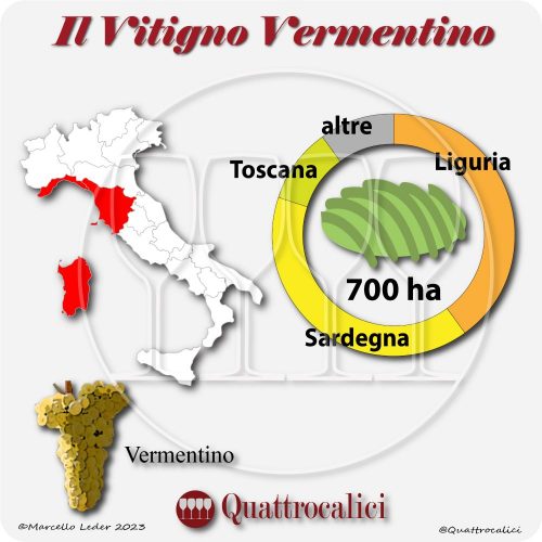 Il Vitigno Vermentino e la sua coltivazione in Italia