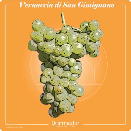 Vitigno  Vernaccia di San Gimignano