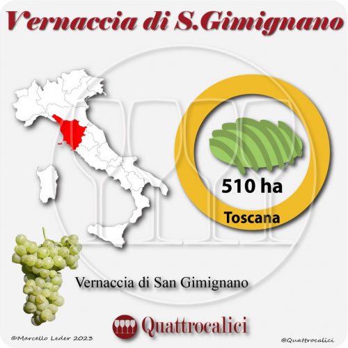Il Vitigno Vernaccia di San Gimignano e la sua coltivazione in Italia