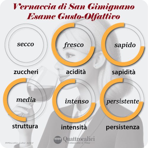 L'esame gusto-olfattivo della vernaccia di san gimignano