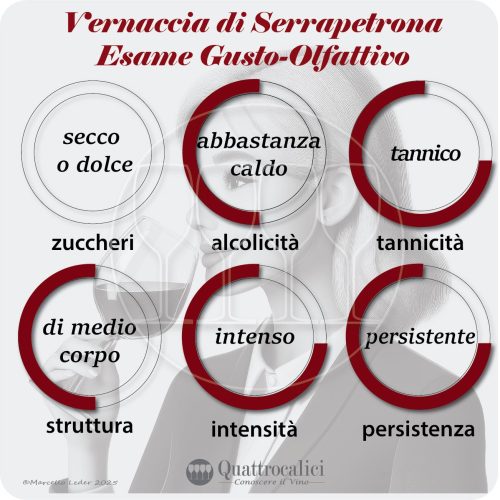 L'esame gusto-olfattivo della vernaccia di serrapetrona