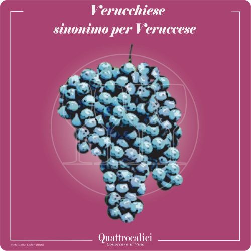Vitigno  Verucchiese