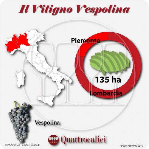 Il Vitigno Vespolina e la sua coltivazione in Italia