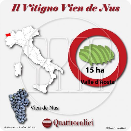 Il Vitigno Vien de Nus e la sua coltivazione in Italia