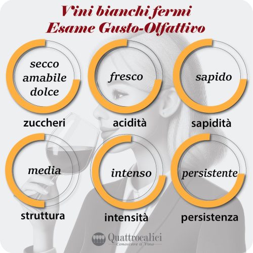 L'esame gustativo dei vini bianchi fermi