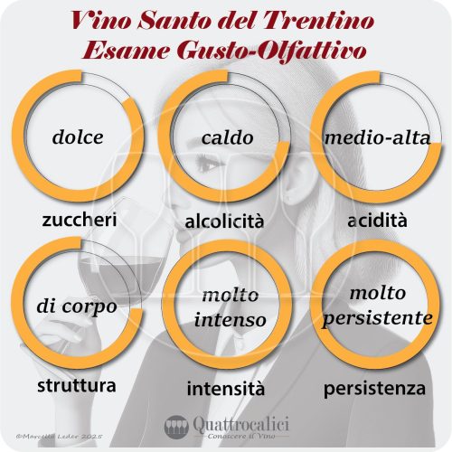 L'esame gustativo del Vino Santo del Trentino
