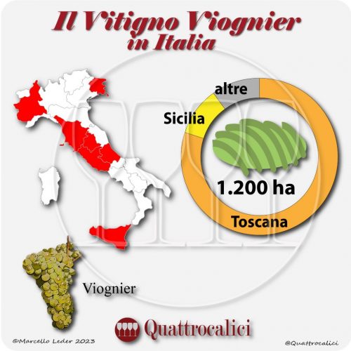 Il viognier in Italia