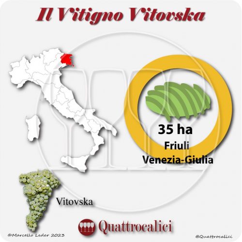 Il Vitigno Vitovska e la sua coltivazione in Italia