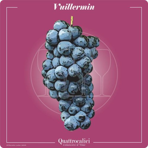 Vitigno  Vuillermin