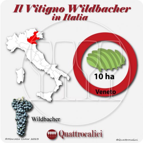 Il wildbacher in Italia
