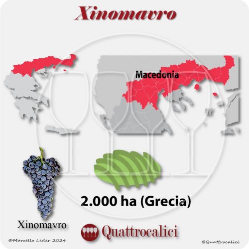 Il vitigno Xinomavro in Grecia